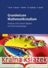 Grundwissen Mathematikstudium - Analysis und Lineare Algebra mit Querverbindungen: Analysis und Lineare Algebra mit Querverbindungen Tilo Arens, Rolf Busam, Frank Hettlich, Christian Karpfinger, Hellmuth Stachel, Klaus Lichtenegger 9783827423085 Spektrum Akademischen Verlag - książka