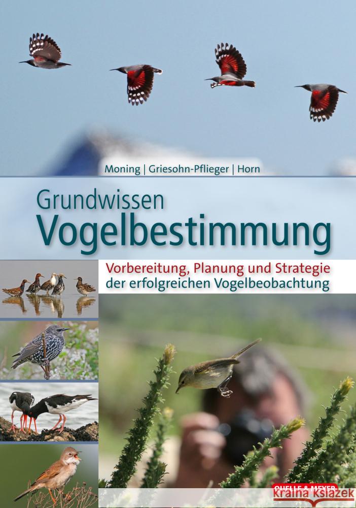 Grundwissen Vogelbestimmung Moning, Christoph, Griesohn-Pflieger, Thomas, Horn, Michael 9783494018911 Quelle & Meyer - książka