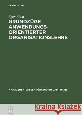 Grundzüge anwendungsorientierter Organisationslehre Blum, Egon 9783486253306 Oldenbourg Wissenschaftsverlag - książka