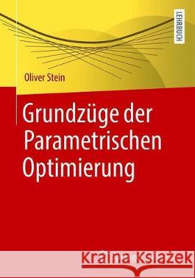 Grundzüge Der Parametrischen Optimierung Stein, Oliver 9783662619896 Springer Spektrum - książka