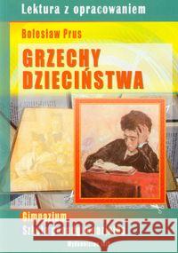 Grzechy dzieciństwa BR Nożyńska-Demianiuk Agnieszka 9788377381212 Ibis - książka