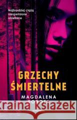 Grzechy śmiertelne Magdalena Sobota 9788368740059 Oficynka - książka
