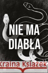 Grzesznicy T.2 Nie ma diabła Sophie Lark 9788368370379 Czwarta Strona - książka
