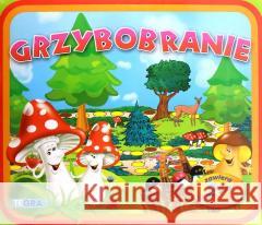 Grzybobranie  5907465800167 Tegra - książka