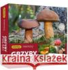 Grzyby Polski  5902410007912 Adamigo