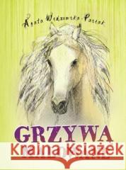 Grzywą malowane w.2 Agata Widzowska 9788366297937 Dreams - książka
