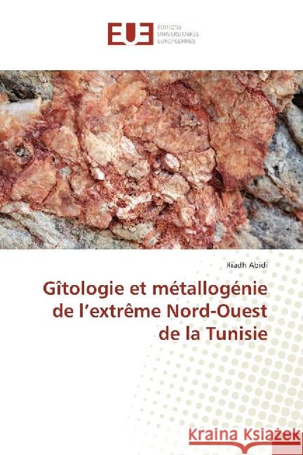Gîtologie et métallogénie de l'extrême Nord-Ouest de la Tunisie Abidi, Riadh 9783639623826 Éditions universitaires européennes - książka