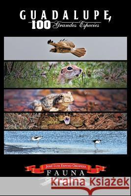 Guadalupe 100 Grandes Especies Jose Luis Espino Oropeza 9781514383933 Createspace Independent Publishing Platform - książka