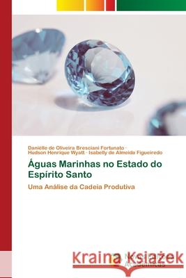 Águas Marinhas no Estado do Espírito Santo de Oliveira Bresciani Fortunato, Danièl 9786202562010 Novas Edicoes Academicas - książka