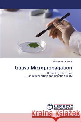 Guava Micropropagation Youssef Muhammad 9783659586101 LAP Lambert Academic Publishing - książka