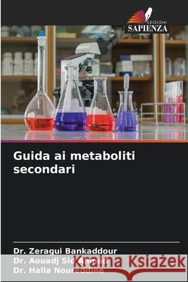 Guida ai metaboliti secondari Zeragui Bankaddour Aouadj Si Halla Noureddine 9786209247200 Edizioni Sapienza - książka