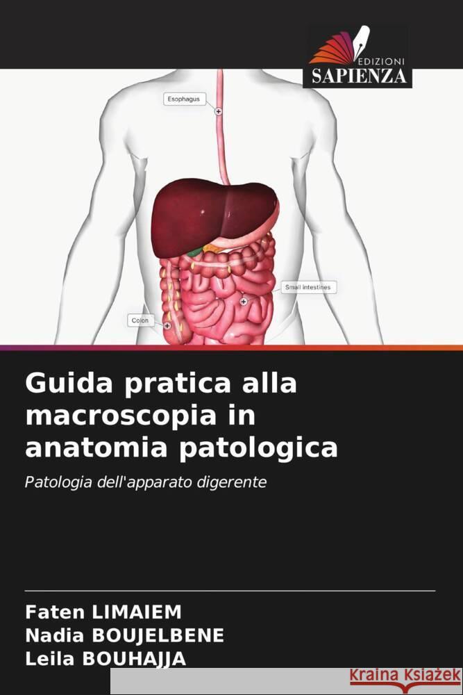 Guida pratica alla macroscopia in anatomia patologica Limaiem, Faten, BOUJELBENE, Nadia, BOUHAJJA, Leila 9786200456861 Edizioni Sapienza - książka