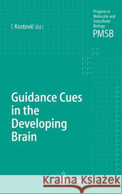 Guidance Cues in the Developing Brain Kurt Bucher Ivica Kostovic Ivica Kostovic 9783540001171 Springer - książka