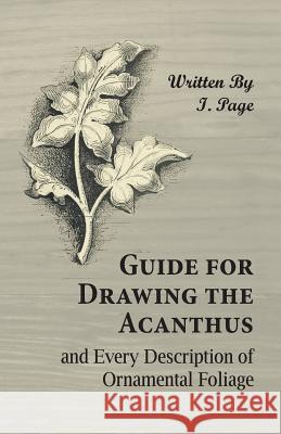 Guide for Drawing the Acanthus, and Every Description of Ornamental Foliage I Page   9781473328754 Owen Press - książka