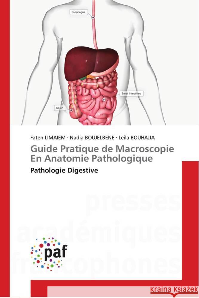 Guide Pratique de Macroscopie En Anatomie Pathologique Limaiem, Faten, BOUJELBENE, Nadia, BOUHAJJA, Leila 9783841637796 Presses Académiques Francophones - książka