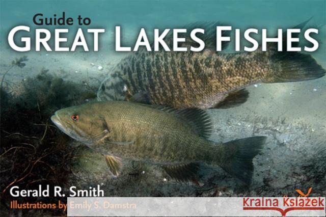 Guide to Great Lakes Fishes Gerald Ray Smith Emily S. Damstra 9780472033751 University of Michigan Press - książka