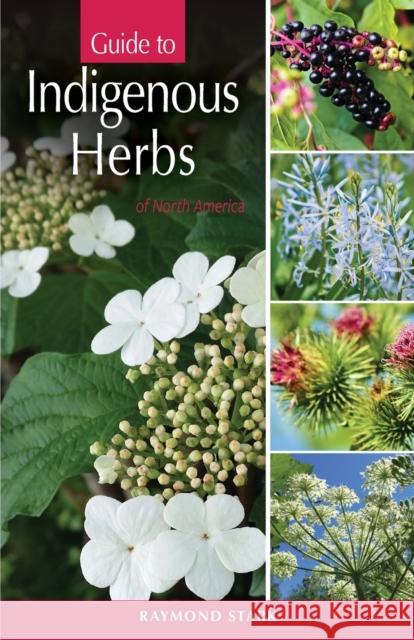 Guide to Indigenous Herbs of North America Ray Stark 9780888390776 Hancock House Publishers Ltd ,Canada - książka