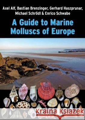 Guide to Marine Molluscs of Europe: 2020 A.A. BRENZINGER   9783948603007 ConchBooks - książka