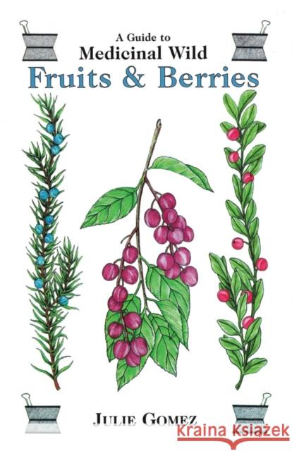 Guide to Medicinal Wild Fruits & Berries Julie Gomez 9780888394453 Hancock House Publishers Ltd ,Canada - książka