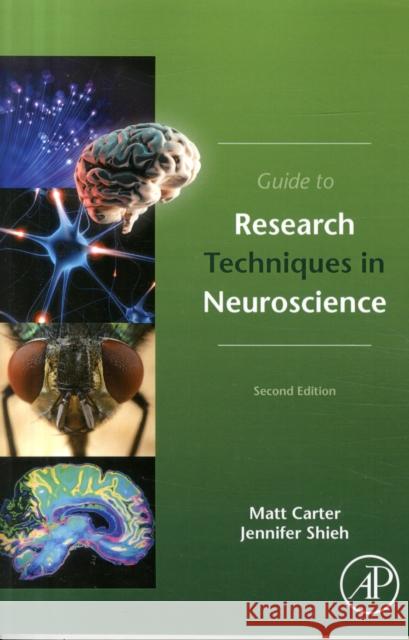 Guide to Research Techniques in Neuroscience Carter, Matt Shieh, Jennifer C.  9780128005118 Elsevier Science Publishing Co Inc - książka