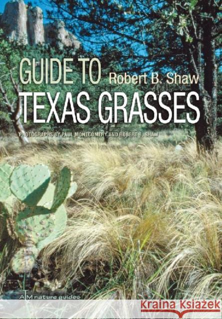 Guide to Texas Grasses Shaw, Robert B. 9781603441865 Texas A&M University Press - książka