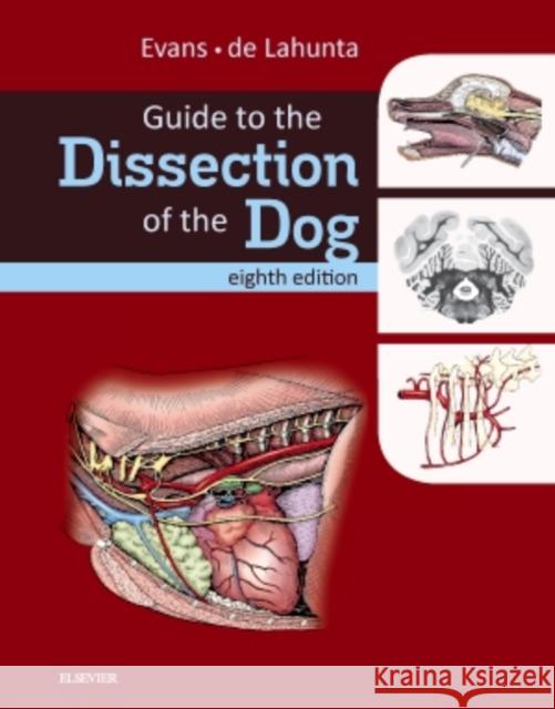 Guide to the Dissection of the Dog Howard E. Evans Alexander D 9780323391658 Elsevier - Health Sciences Division - książka