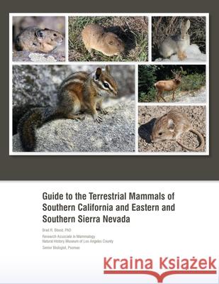Guide to the Terrestrial Mammals of Southern California and Eastern and Southern Sierra Nevada Brad R. Blood 9781977255587 Outskirts Press - książka