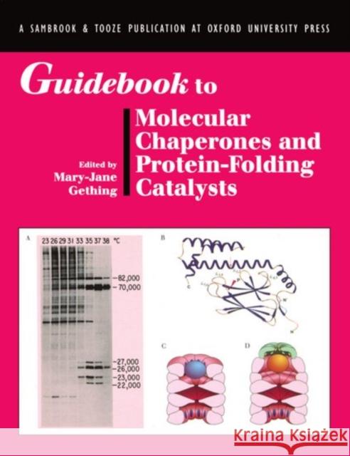 Guidebook to Molecular Chaperones and Protein-Folding Catalysts Mary-Jane Gething 9780198599487 Sambrook and Tooze Publication at Oxford Univ - książka