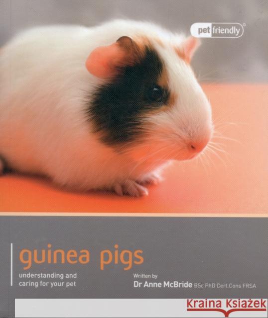 Guinea Pig - Pet Friendly Mc Bride, Dr Anne 9781907337031 Magnet & Steel Publishing Ltd - książka
