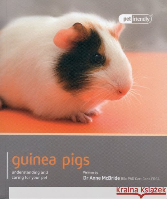 Guinea Pig - Pet Friendly Anne Mcbride 9781907337031 Magnet & Steel Publishing Ltd - książka
