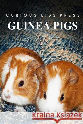 Guinea Pigs - Curious Kids Press Curious Kids Press 9781494981167 Createspace - książka