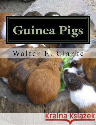 Guinea Pigs: A Practical Treatise on their Breeding, Feeding and Management of Cavies Clarke, Walter E. 9781984024039 Createspace Independent Publishing Platform - książka