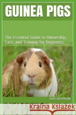 Guinea Pigs: The Essential Guide to Ownership, Care, and Training for Beginners Dave Josephson 9781650516929 Independently Published - książka