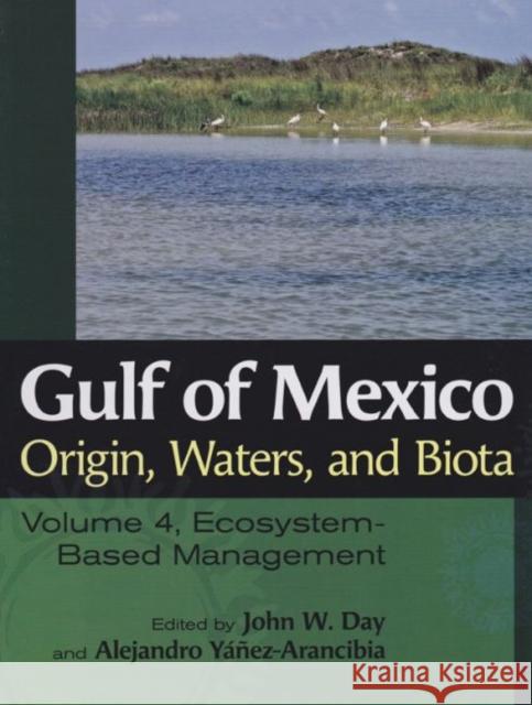 Gulf of Mexico Origin, Waters, and Biota, Volume 4: Ecosystem-Based Management Day, John W. 9781603447652 Texas A&M University Press - książka