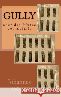 Gully Oder Die Pfuetze Des Zufalls Johannes Wierz 9781495264597 Createspace - książka