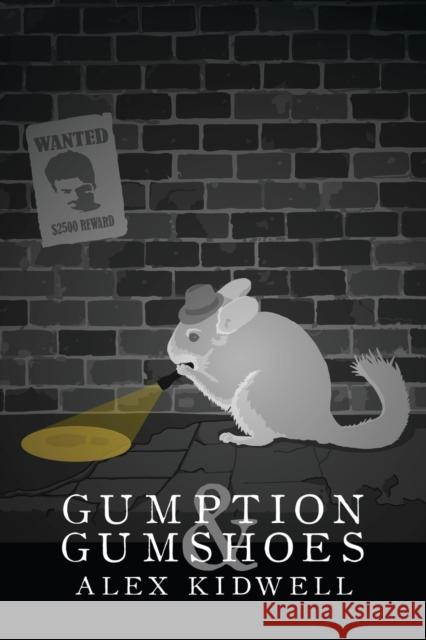 Gumption & Gumshoes Alex Kidwell 9781627980869 Dreamspinner Press - książka