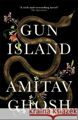 Gun Island: A spellbinding, globe-trotting novel by the bestselling author of the Ibis trilogy Ghosh, Amitav 9781473686687 John Murray Press - książka