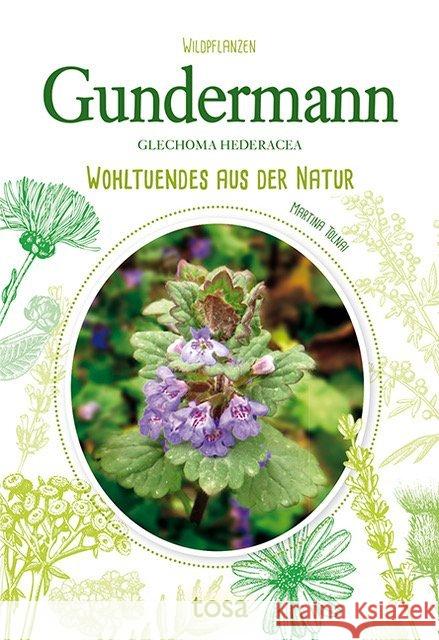 Gundermann - Glechoma Hederacea : Wohltuendes aus der Natur Tolnai, Martina 9783863130787 Tosa - książka