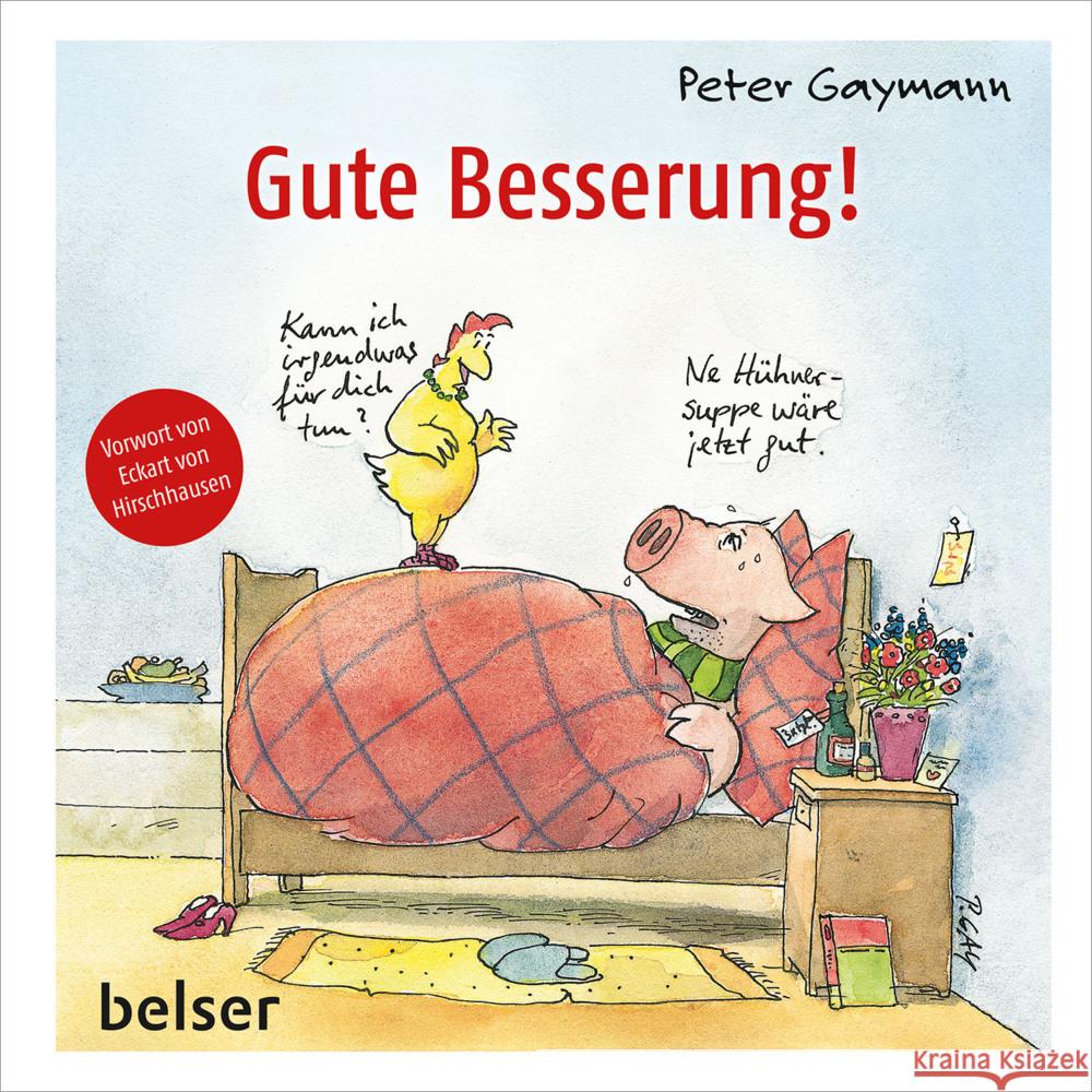 Gute Besserung! Gaymann, Peter 9783763028696 Belser - książka