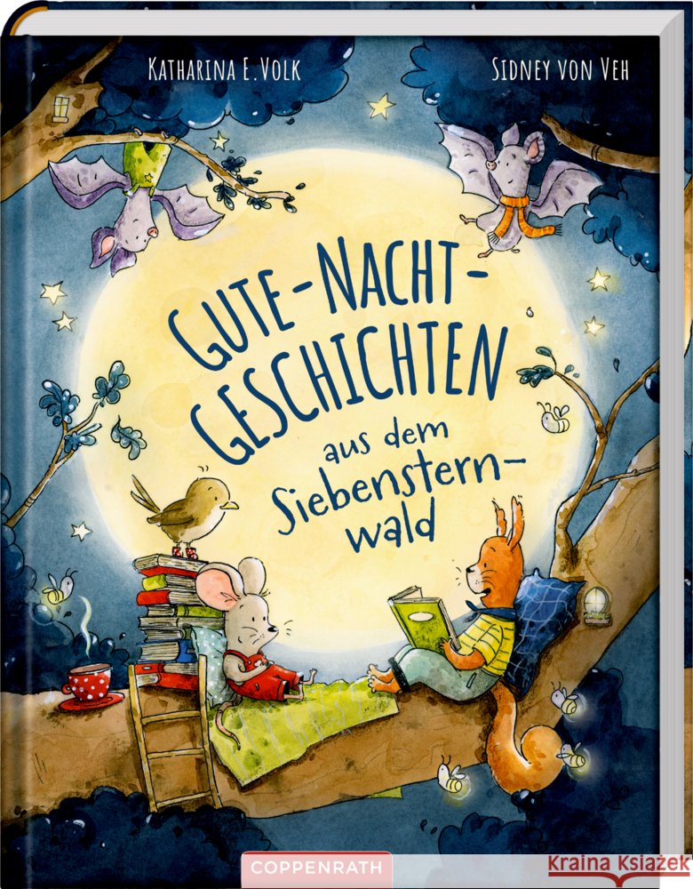 Gute-Nacht-Geschichten aus dem Siebensternwald Volk, Katharina E. 9783649652847 Coppenrath, Münster - książka