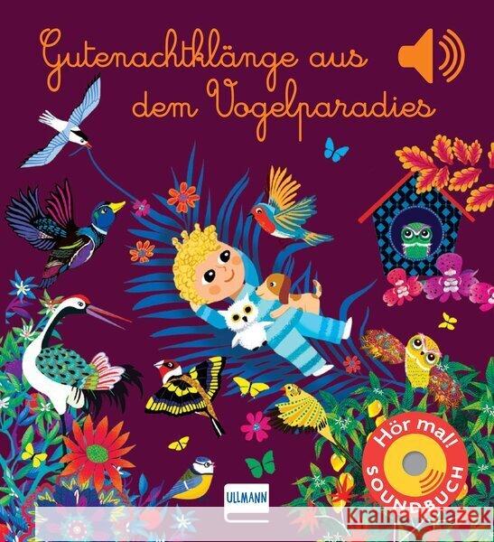 Gutenachtklänge aus dem Vogelparadies Collet, Emilie 9783741526879 Ullmann Medien - książka