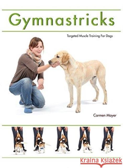 Gymnastricks Carmen Meyer 9781910488423 Corpus Publishing Limited - książka