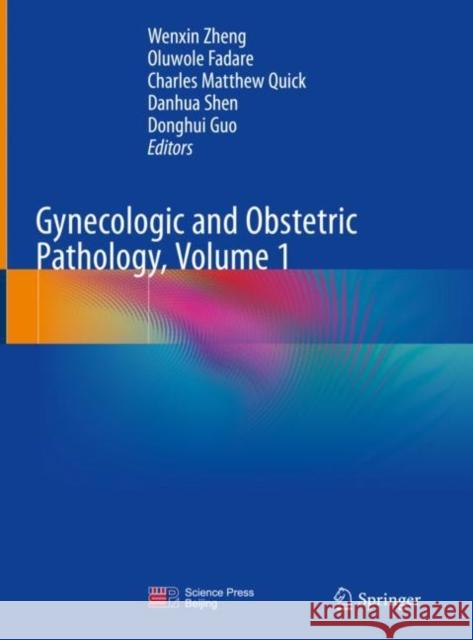 Gynecologic and Obstetric Pathology, Volume 1 Wenxin Zheng Oluwole Fadare Charles Matthew Quick 9789811330155 Springer - książka