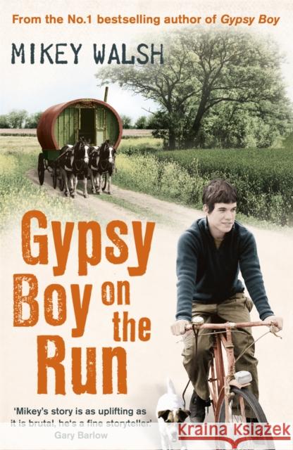Gypsy Boy on the Run Mikey Walsh 9781444720228 Hodder & Stoughton - książka