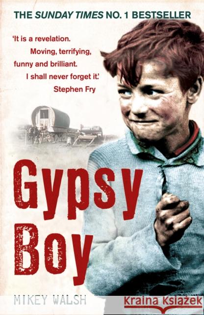 Gypsy Boy: The bestselling memoir of a Romany childhood Mikey Walsh 9780340977989 Hodder & Stoughton - książka