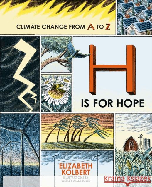 H is for Hope: Climate Change from A to Z Elizabeth Kolbert 9780861548668 Oneworld Publications - książka