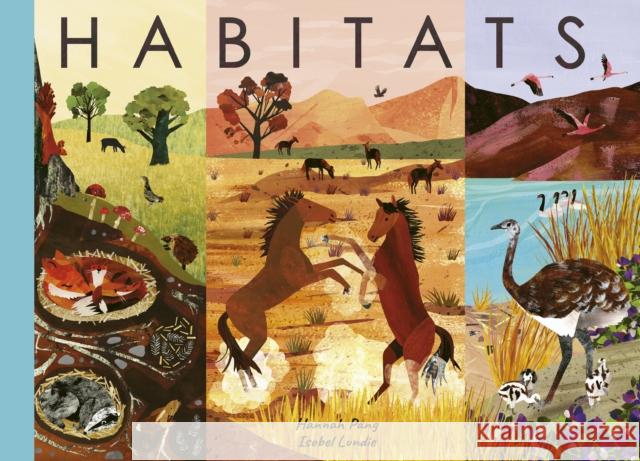 Habitats Hannah Pang 9781838919795 Little Tiger Press Group - książka
