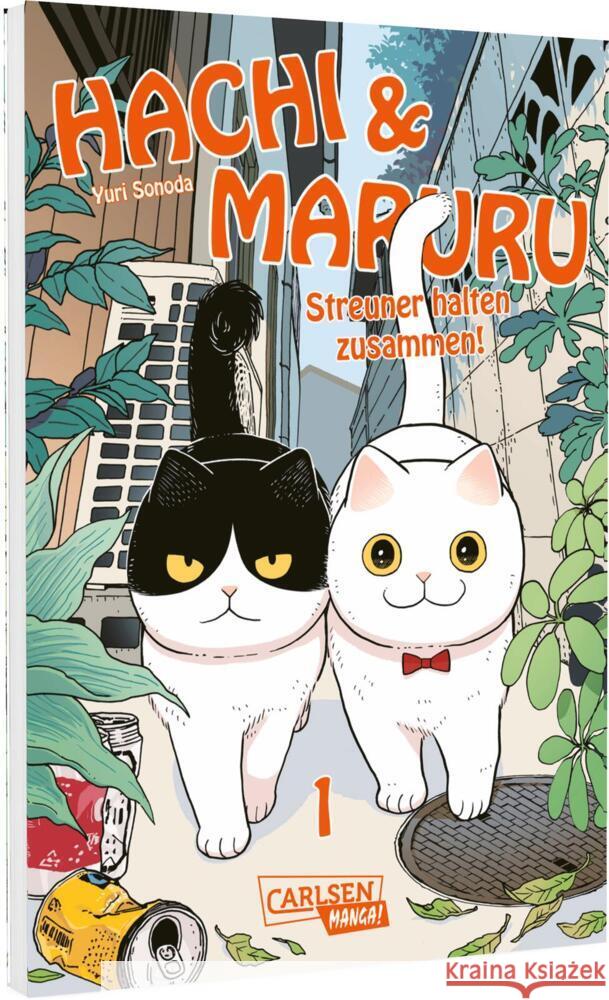 Hachi & Maruru - Streuner halten zusammen! 1 Sonoda, Yuri 9783551806307 Carlsen Manga - książka