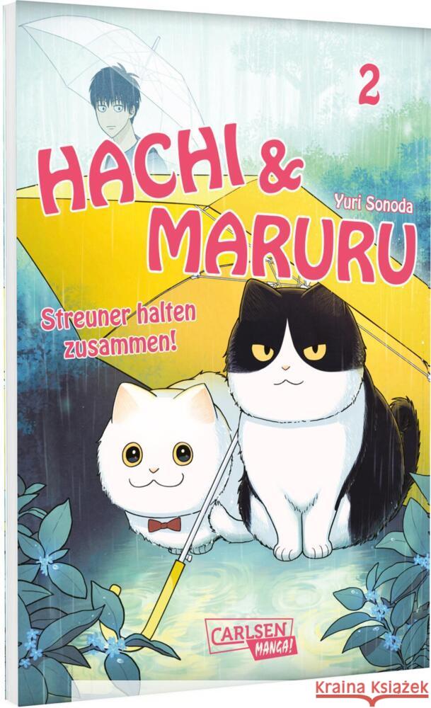 Hachi & Maruru - Streuner halten zusammen! 2 Sonoda, Yuri 9783551806314 Carlsen Manga - książka