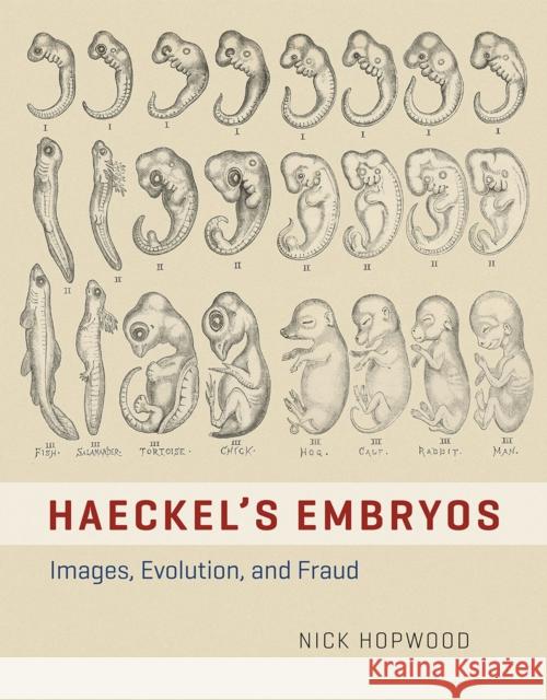 Haeckel's Embryos: Images, Evolution, and Fraud Nick Hopwood 9780226046945 University of Chicago Press - książka